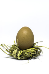 Egg  in the nest on white background.