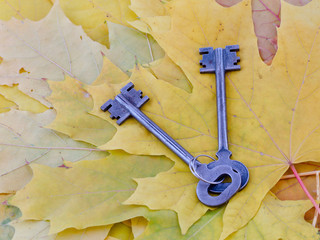 Ancient keys lie on yellow maple autumn leaves