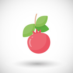 Pomegranate fruit vector flat icon