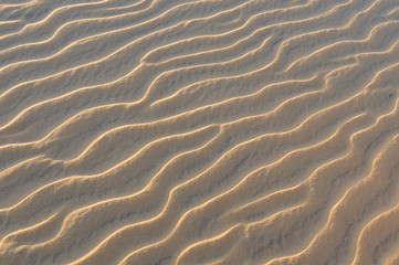 Sand waves in desert