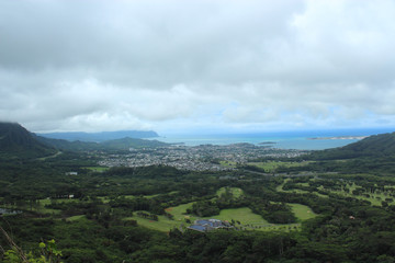 Fototapeta premium ヌアヌパリ展望台からの風景