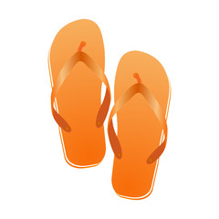Pair of flip-flops isolated on a white background.