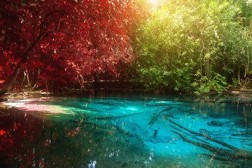 Amazing nature, Blue pond in the forest. Krabi, Thailand.