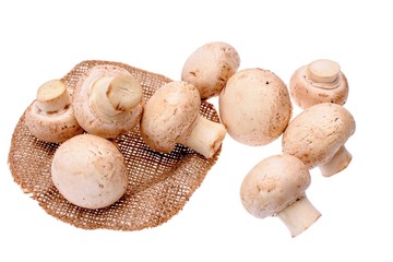 White mushrooms champignons isolated on a white background