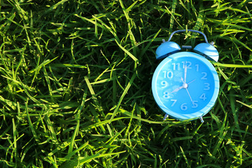 Top view of retro alarm clock over green grass outdoors in the park