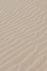 Lines in the sand of a beach. Out of focus image.
