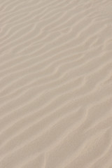 Lines in the sand of a beach. Out of focus image.