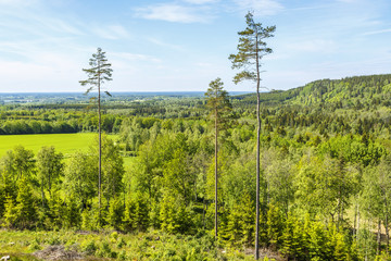 View of a forest landscape with fields