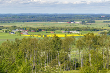 Rural view of fields farms and forests