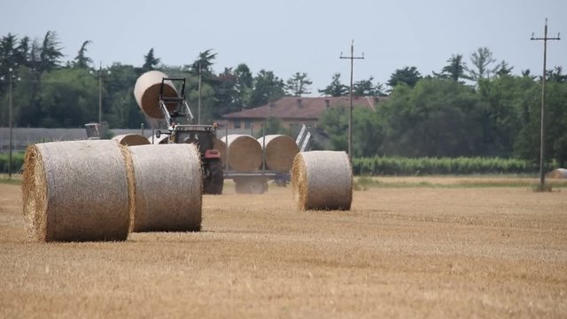 Cỏ kh&ocirc; Foin Fieno Hay 乾草 Sz&eacute;na Сено Hooi Siano Hein&auml; Saman H&ouml; Video Seno Heu Heno Sijeno F&acirc;n 干し草 सूखी घास 건초 