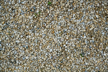 abstract background with dry round reeble stones