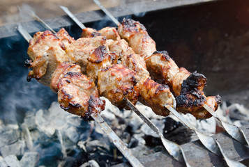 Cooking kebabs on the nature