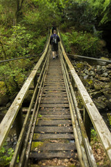 Fototapeta premium Bridge Way