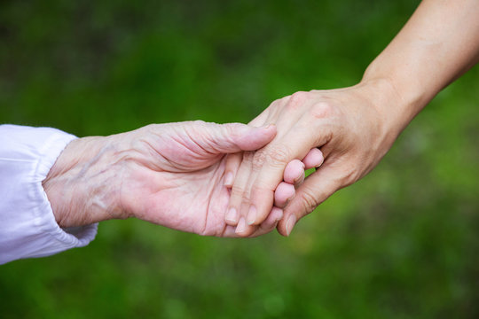 Hands of young adult and senior women over green background