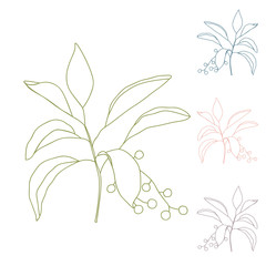 Vector hand drawn botanical illustration with a simple twig with leaves and berries.
Thin lines drawing isolated on white background. 
