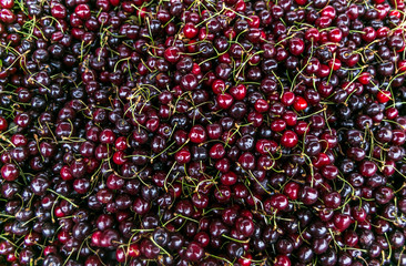 Fresh ripe perfect cherry - Food Frame Background