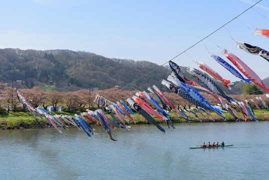 岩手　北上展勝地の桜