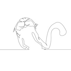 continuous line drawing of kitten or idea metaphor