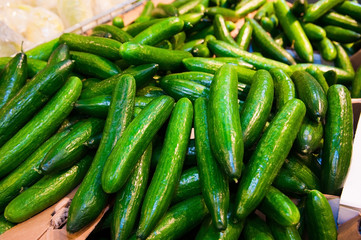 Cucumbers in supermarket