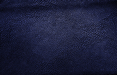 Blue leather texture or background