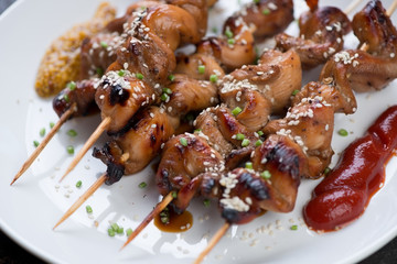 Close-up of wooden skewers with grilled chicken breast, selective focus, horizontal shot