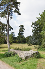 Lawns park in Swindon / UK, rock in foreground and forest in background