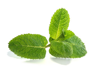 Fresh raw mint leaves isolated on white background