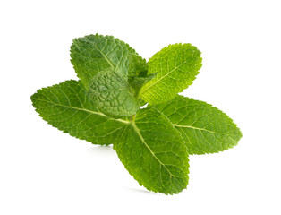 Fresh raw mint leaves isolated on white background