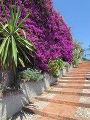 fiori