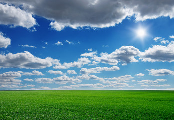 Image of green grass field and bright blue sky