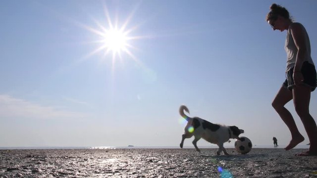 Woman Playing With Dog With Ball At Beach. Slow motion. HD, 1920x1080. 