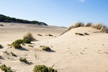 Deserto/spiaggia di Piscinas, dune, Sardegna