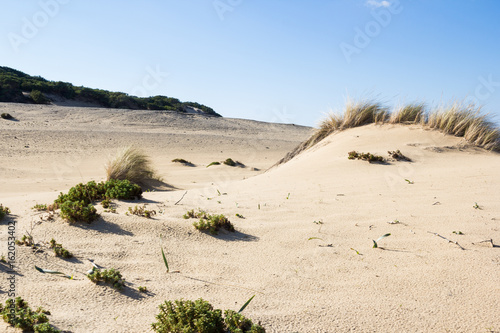 Desertospiaggia Di Piscinas Dune Sardegna Stock Photo