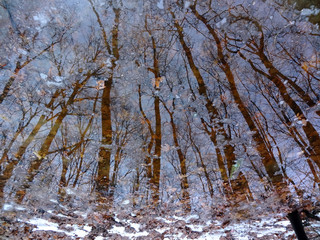 Spring, thaw, snowmelt