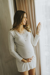 Young pregnant woman by the window