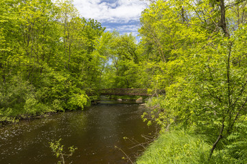 Pike Creek & Footbridge