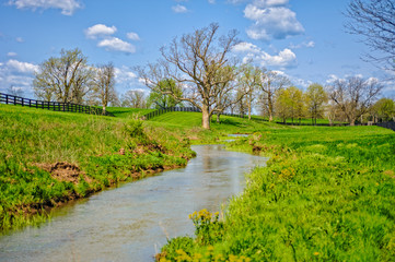 Creek Landscape