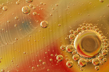 Colorful, abstract circles