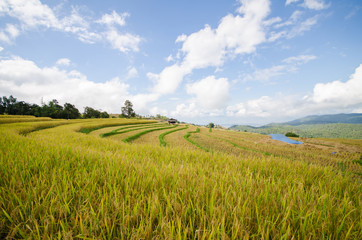 Pa Pong Piang Rice terraces, Mae Cham, Chiang Mai, Thailand.