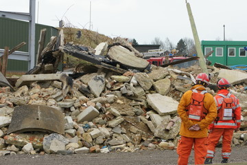 search and rescue dog at tower block collapse disaster zone