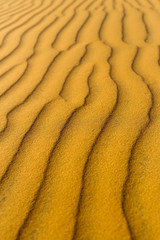 Yellow sandy wavy dunes texture