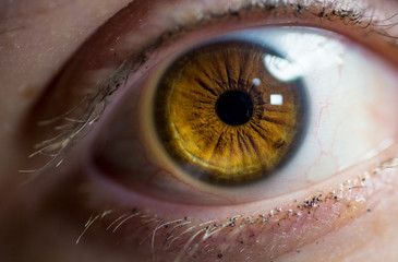 macro close up of a female eye
