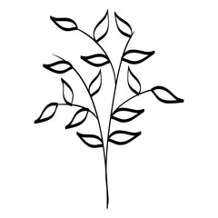 naturals flowers tattoos icon vector illustration design graphic