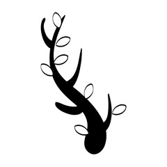 Obraz premium naturals flowers tattoos icon vector illustration design graphic