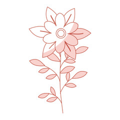 naturals flowers tattoos icon vector illustration design graphic