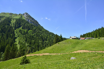 The mid-June rural landscape of the Carnic Alps near Paularo, Friuli Venezie Giulia, north east Italy.
