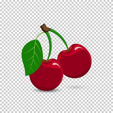Red cherry on a transparent background