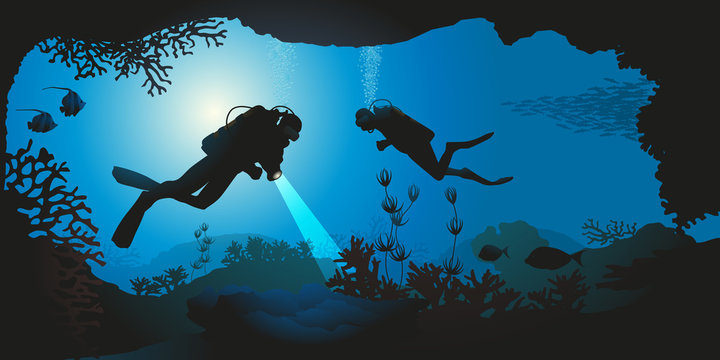 plongée - plongée sous-marine - plongeur - mer - corail - paysage sous-marin