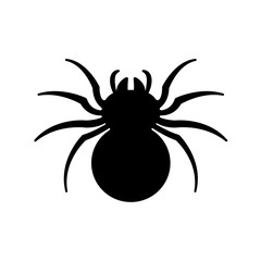 graphic spider, vector