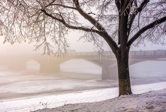 foggy morning near the bridge through the frozen river